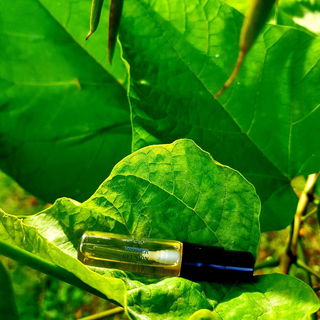 Vetiver Réunion - Urban Scents