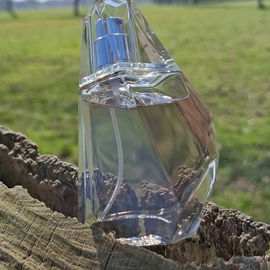 Perceive (Eau de Parfum) - Avon