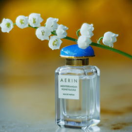 Mediterranean Honeysuckle - Aerin