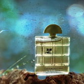 ... warmwürziger kl. Verführer der ‚alten Schule‘ ... :)) (by IrisNobile)