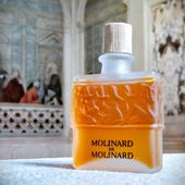 zwei Gesellschaften - freuen sich auf/über euren lieben Besuch und eure inspirierenden Feedbacks 🫶 (by Skydiver19)