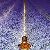 Spur zur Poesie (von Camey5000)