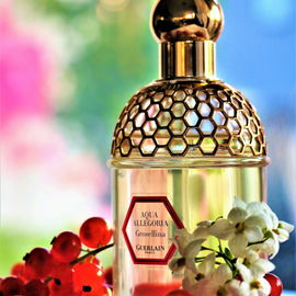 Aqua Allegoria Grosellina - Guerlain