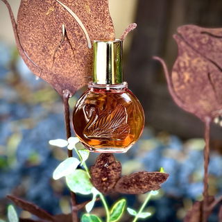 Vanderbilt (Eau de Toilette)