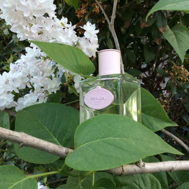 Infusion d'Iris L'Eau d'Iris - Prada
