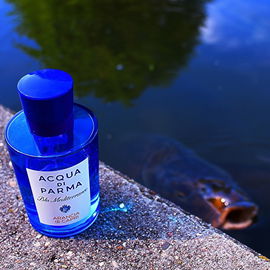 Arancia di Capri - Acqua di Parma
