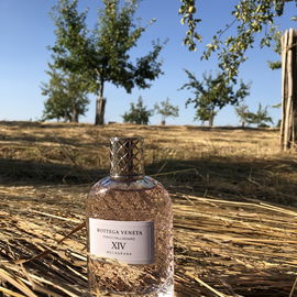 Parco Palladiano XIV: Melagrana - Bottega Veneta