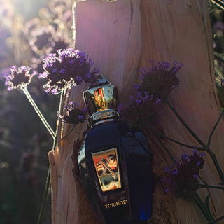 Eisenkraut in der Flasche und im eigenen Garten - habt vielen lieben Dank für die vielen lieben Kommentare ♥️