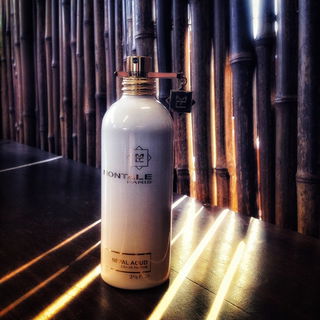 Nepal Aoud - Montale