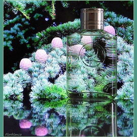 Nature - Bois de Cèdre et Citron Vert - Yves Rocher