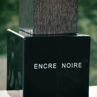 Encre Noire (Eau de Toilette) von Lalique