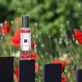 Mimosa & Cardamom (Cologne) - Jo Malone