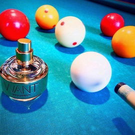Want - Dsquared²