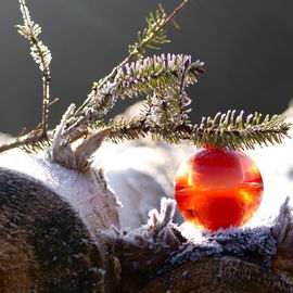 Ein besonderer Gruß an alle, die auf das Weihnachtsfest blicken, wie auf ein gerodetes Stück Fichtenwald (also nicht nur mit Vorfreude). An alle anderen natürlich auch! DANKE für eure Besuche bei Issey‘s Feuerduftkugel