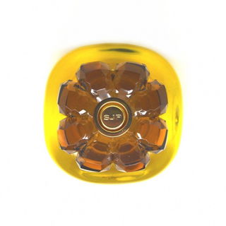 Covet by Sarah Jessica Parker