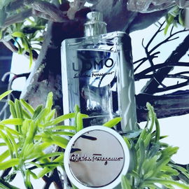Uomo Casual Life (Eau de Toilette) - Salvatore Ferragamo