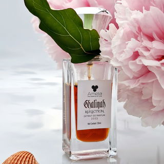 Ghaliyah Reflection von Dixit & Zak