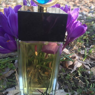 Regard Scintillant de Mille Beautés von Dali Haute Parfumerie