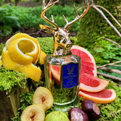 En älg i skogen (by ElBauro)