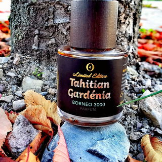 Tahitian Gardénia Borneo 3000 by Ensar Oud