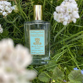 Finisterre von Maria Candida Gentile
