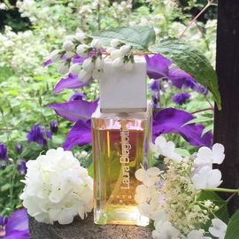 Fiori Bianchi (Eau de Toilette) - Laura Biagiotti