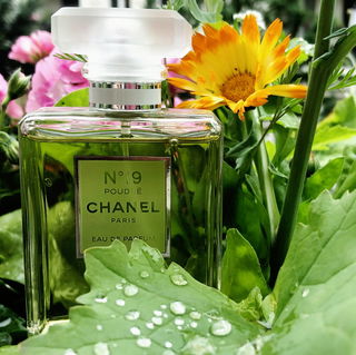 N°19 Poudré by Chanel