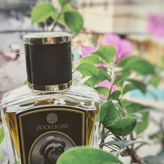 Sloth by Zoologist