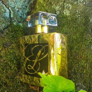 Der Falkon wurde von mir in den Baum gestellt. Diese Wirkung hat sich dabei von selbst ergeben,... in der Tat ohne jegliche Bildbearbeitung.