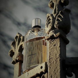 Eau de Citron Noir - Hermès