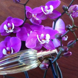 Valentino (Eau de Toilette) von Valentino