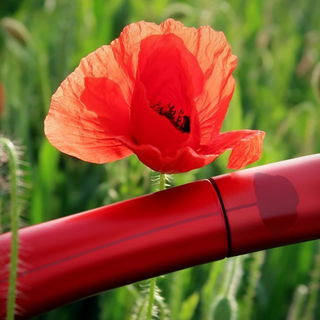 Flower by Kenzo Le Parfum - Kenzo