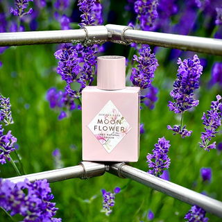 Moon Flower - Nature Blossom