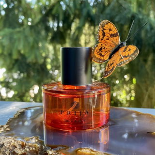 Jus d'Ambre by Prija