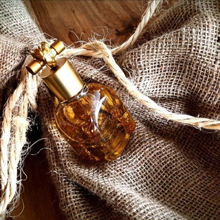 Knot - Bottega Veneta