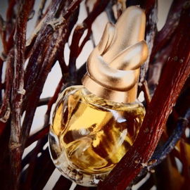 Sônia Bogner - Now (Eau de Parfum) - Bogner