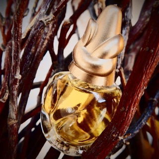 Sônia Bogner - Now (Eau de Parfum) - Bogner
