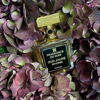 Oud Jaune Intense (Parfum) - Fragrance Du Bois
