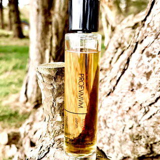 Mina von Profumum Roma