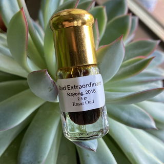 Oud Extraordinaire - Ensar Oud
