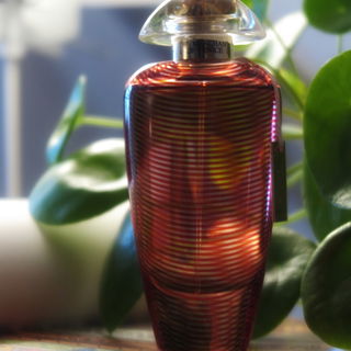 Wellington (Cologne) - Geo. F. Trumper