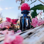 Springkraut in the Garden 💗💙 (von Goasbaeuerin)