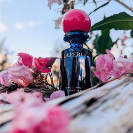 Springkraut in the Garden 💗💙