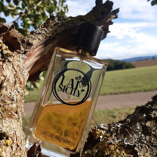 Mit diesem wärmenden Bild aus meiner Sammlung wünsche ich euch allen schöne geruhsame Weihnachten 🎄 🎄