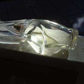Cashmere Mist (Eau de Toilette) - DKNY / Donna Karan