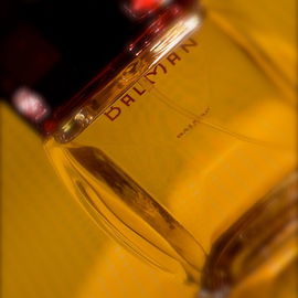BalMan - Balmain