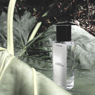 Fleur d'Oranger / N°06 Neroli / N°06 Fleur d'Oranger - Zara