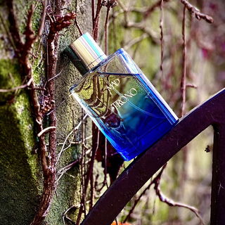 …📷🌍 Thank you. Danke schön. Merci beaucoup. Muchas gracias. Dōmo arigatō gozaimasu 💐…