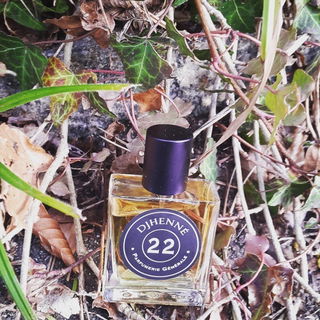22 Djhenné von Pierre Guillaume