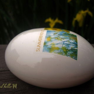 Summer by Kenzo by Kenzo